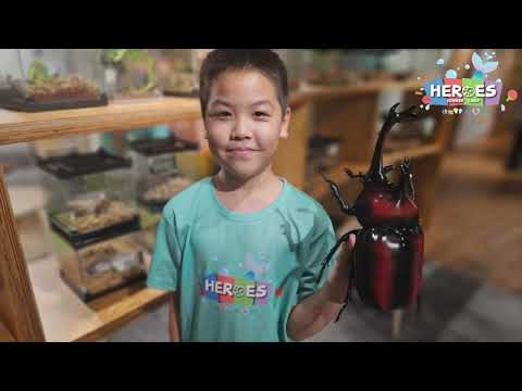 汐游寶寶_夏令營